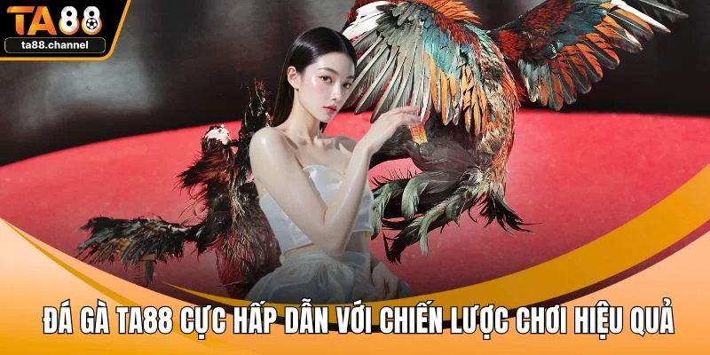 Đá gà TA88