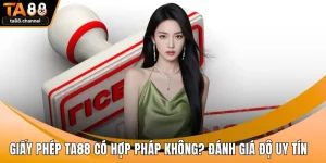 Giấy phép TA88