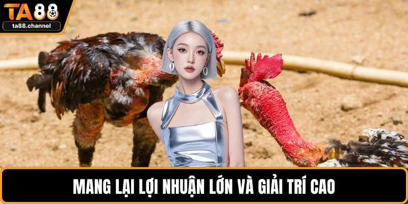 Mang lại lợi nhuận lớn và giải trí cao