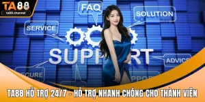 TA88 hỗ trợ 24/7