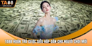 TA88 hoàn trả