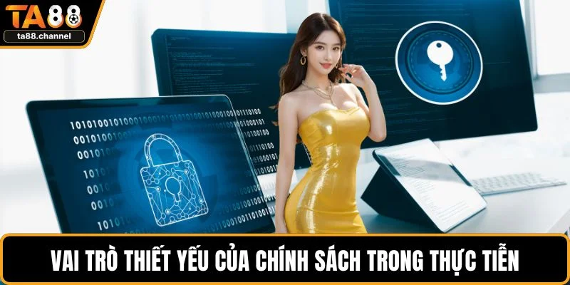 Vai trò thiết yếu của chính sách trong thực tiễn